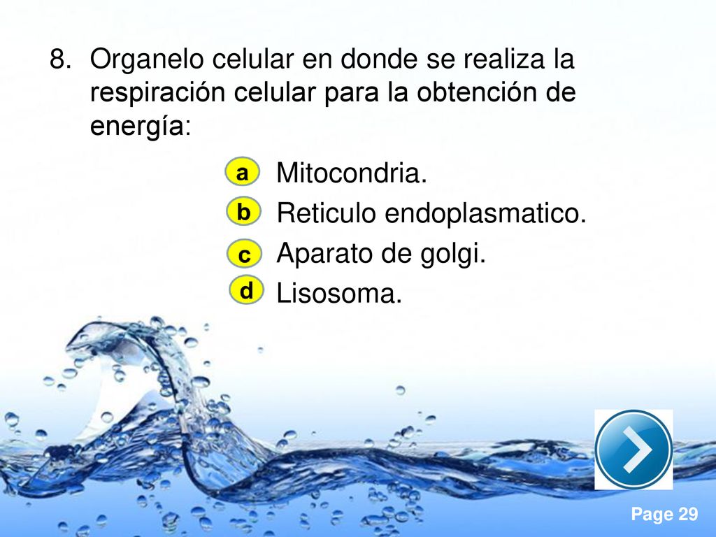 Organelo celular en donde se realiza la respiración celular para la obtención de energía: