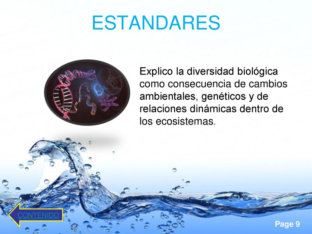 ESTANDARES Explico la diversidad biológica como consecuencia de cambios ambientales, genéticos y de relaciones dinámicas dentro de los ecosistemas.