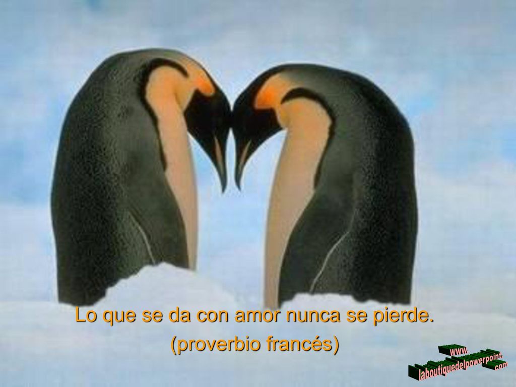 Lo que se da con amor nunca se pierde. (proverbio francés)