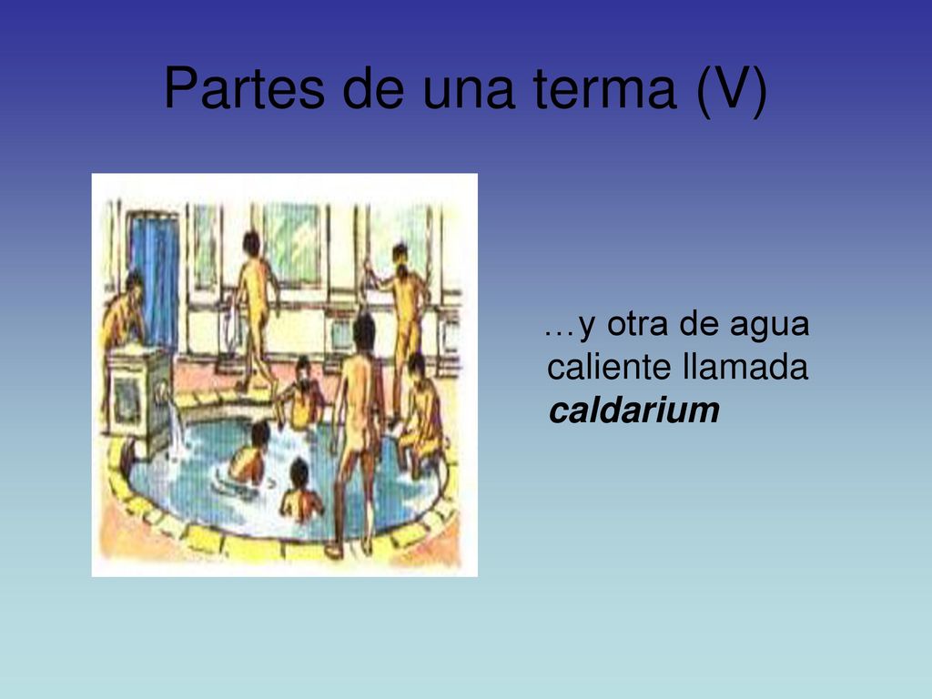 Partes de una terma (V) …y otra de agua caliente llamada caldarium