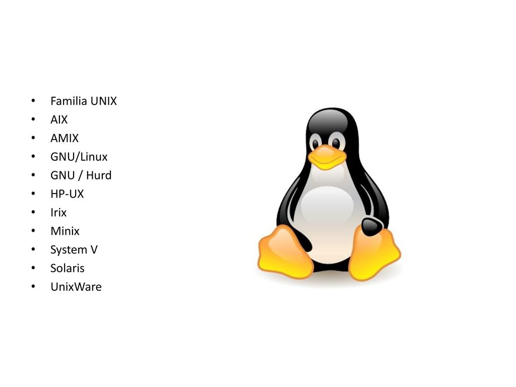 Familia UNIX AIX AMIX GNU/Linux GNU / Hurd HP-UX Irix Minix System V Solaris UnixWare