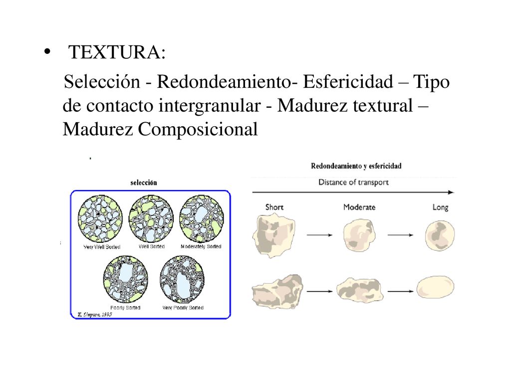 TEXTURA: Selección - Redondeamiento- Esfericidad – Tipo de contacto intergranular - Madurez textural – Madurez Composicional.