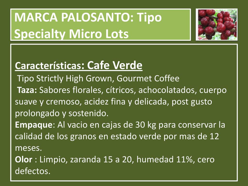 MARCA PALOSANTO: Tipo Specialty Micro Lots