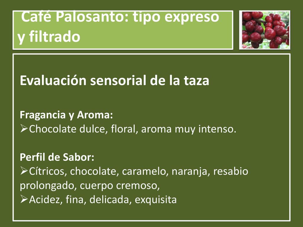 Café Palosanto: tipo expreso y filtrado