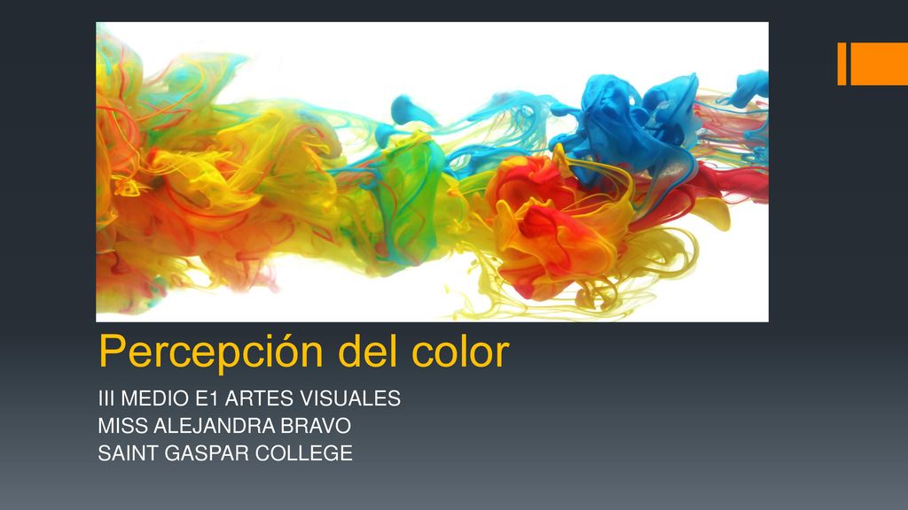 III MEDIO E1 ARTES VISUALES MISS ALEJANDRA BRAVO SAINT GASPAR COLLEGE