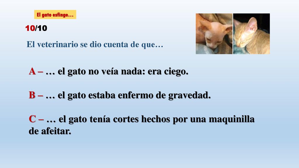 A – … el gato no veía nada: era ciego.