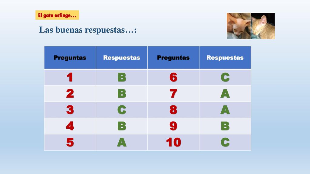 1 B 6 C 2 7 A Las buenas respuestas…: El gato esfinge…