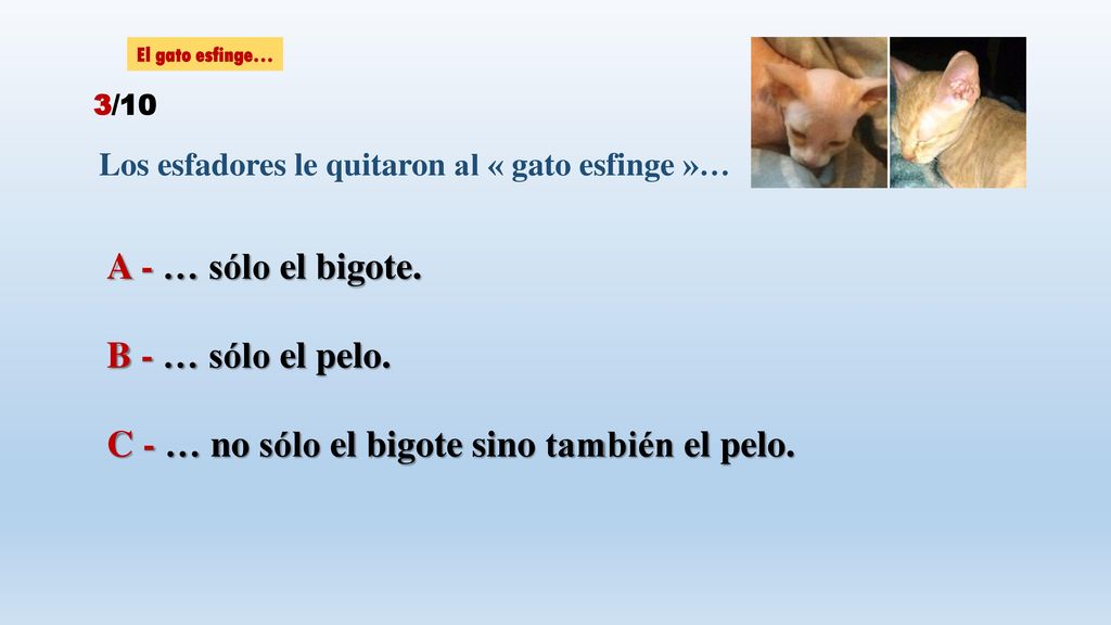 C - … no sólo el bigote sino también el pelo.
