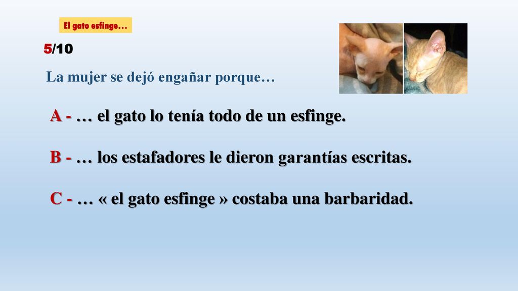 A - … el gato lo tenía todo de un esfinge.