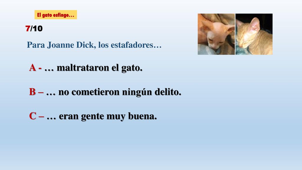 A - … maltrataron el gato. B – … no cometieron ningún delito.