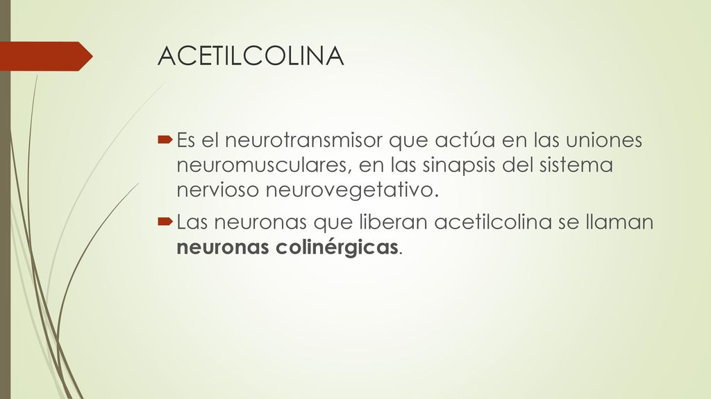 ACETILCOLINA Es el neurotransmisor que actúa en las uniones neuromusculares, en las sinapsis del sistema nervioso neurovegetativo.