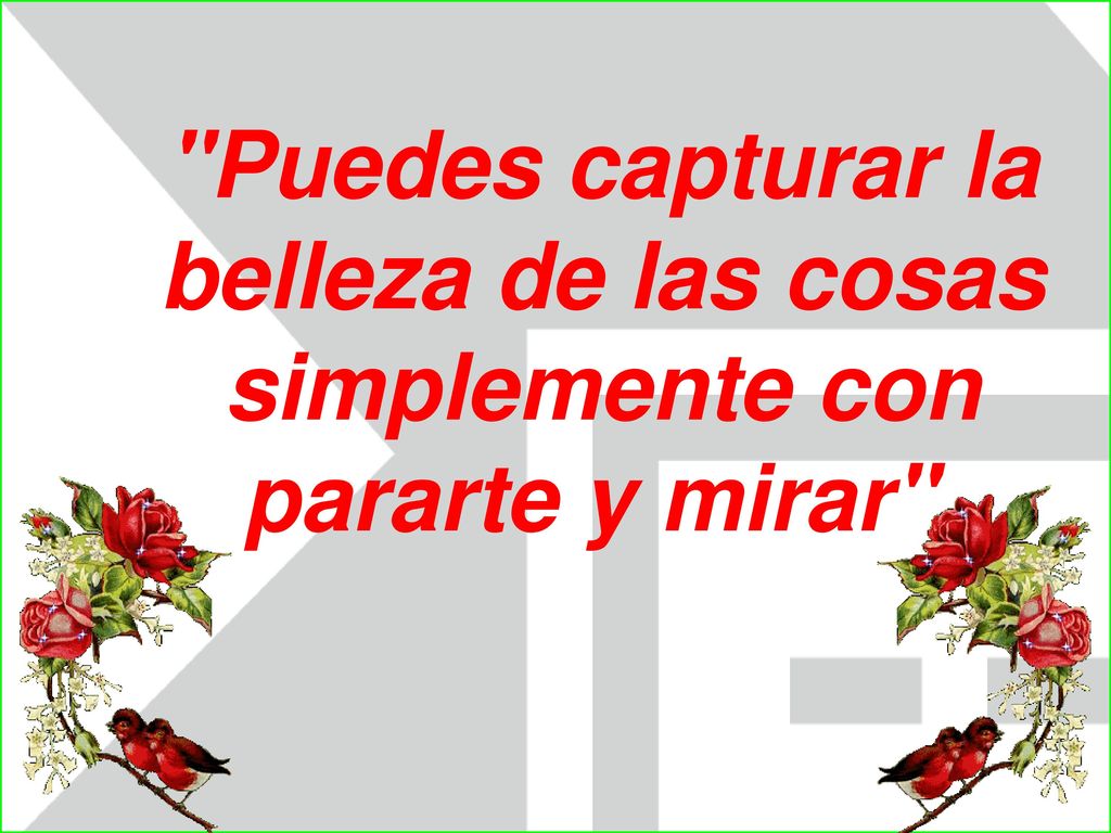Puedes capturar la belleza de las cosas simplemente con pararte y mirar
