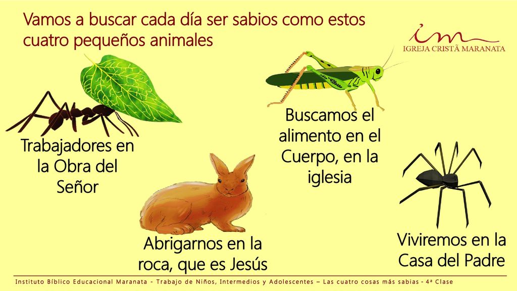 Vamos a buscar cada día ser sabios como estos cuatro pequeños animales