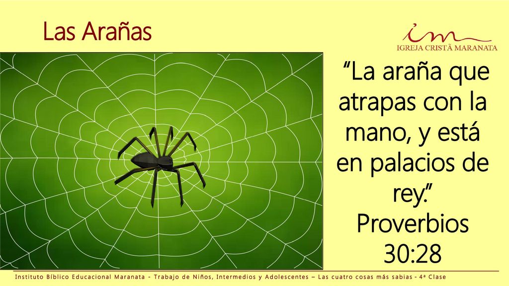 La araña que atrapas con la mano, y está en palacios de rey.