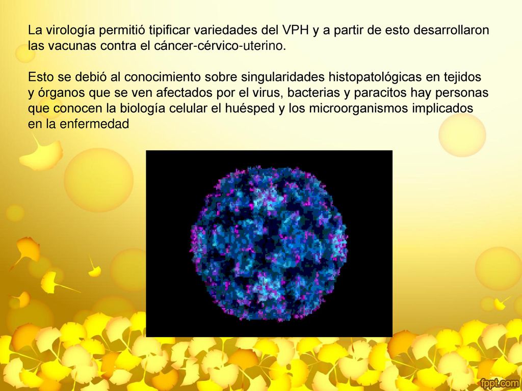 La virología permitió tipificar variedades del VPH y a partir de esto desarrollaron las vacunas contra el cáncer-cérvico-uterino.