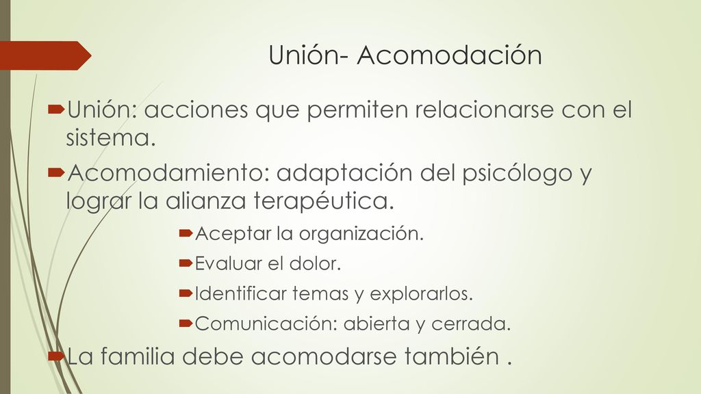 Unión- Acomodación Unión: acciones que permiten relacionarse con el sistema.