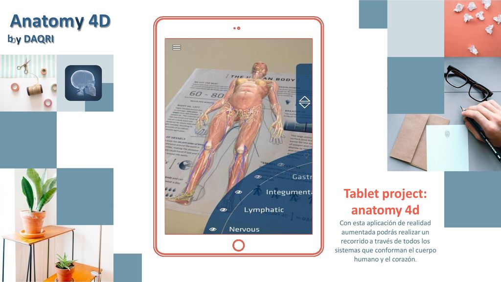 Anatom 4D Tablet project: anatomy 4d y b DAQRI y