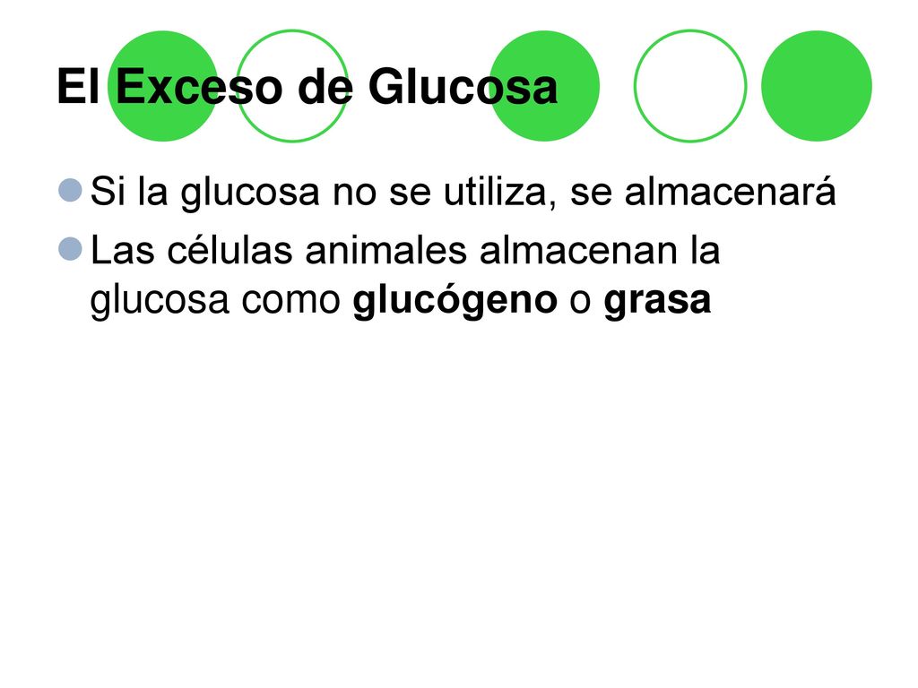 El Exceso de Glucosa Si la glucosa no se utiliza, se almacenará