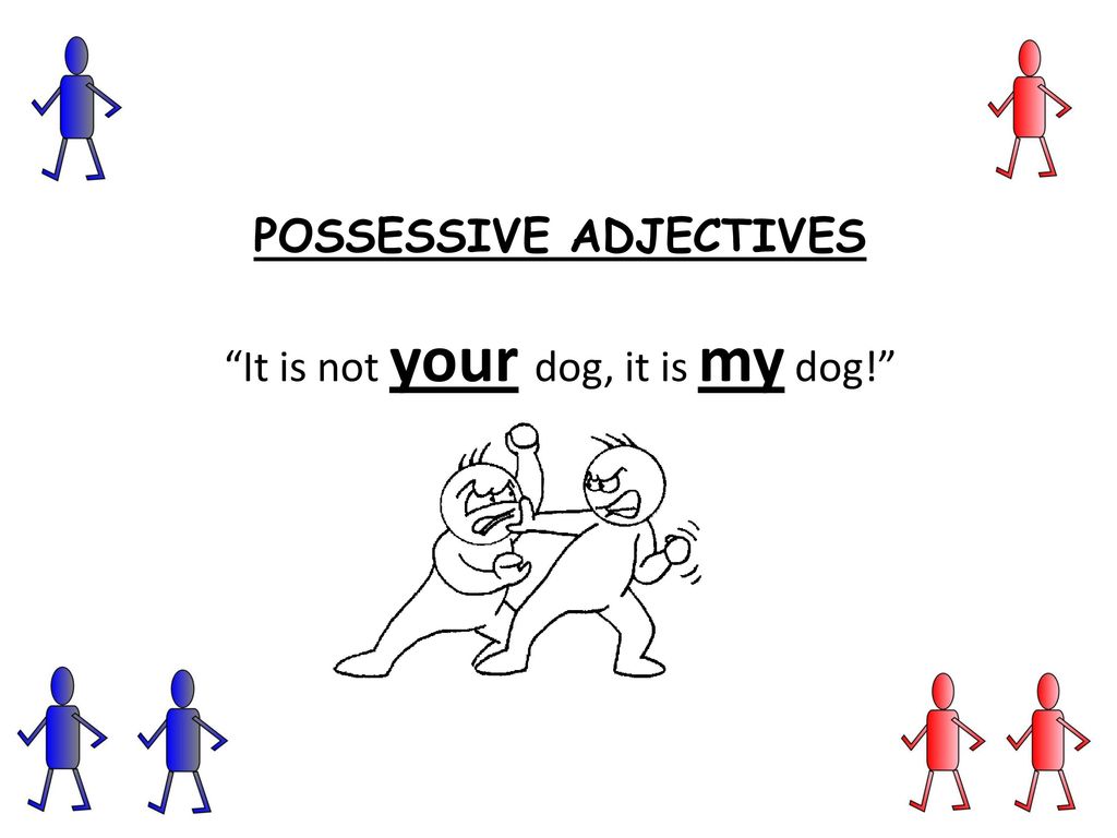 POSSESSIVE ADJECTIVES It is not your dog, it is my dog!