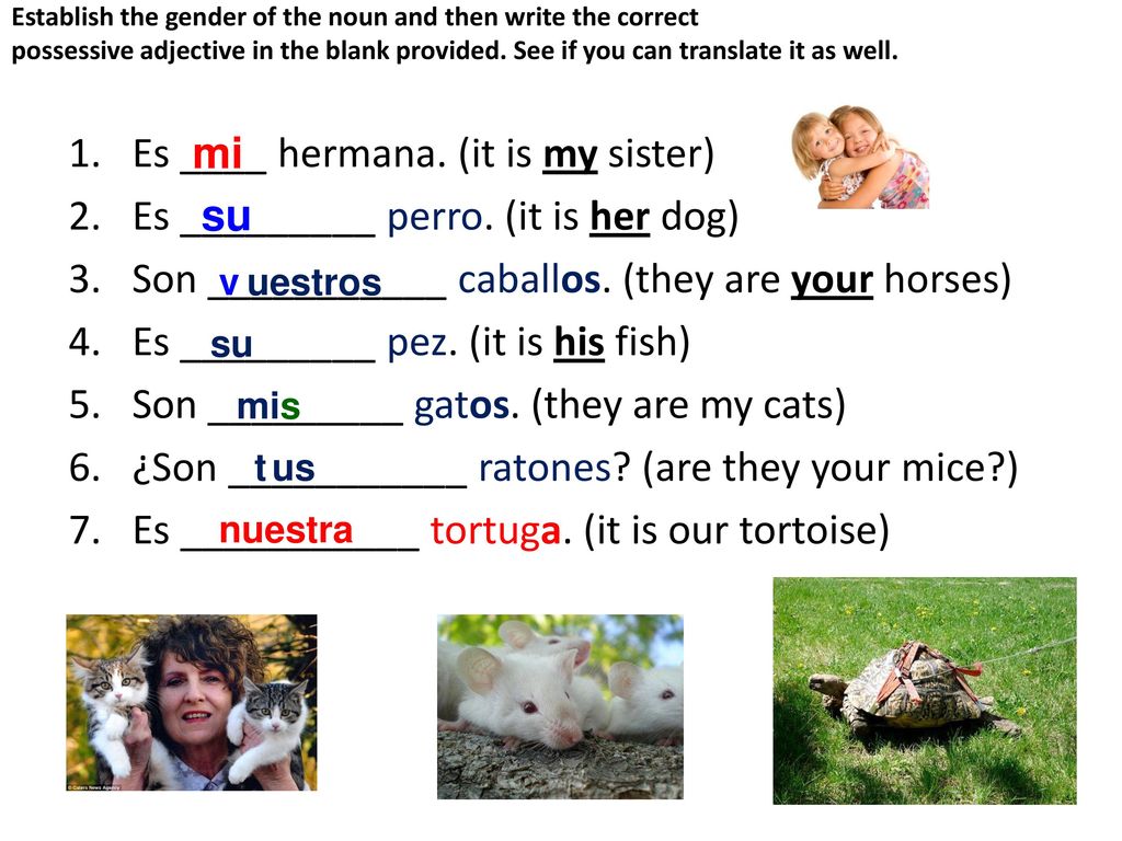 Es ____ hermana. (it is my sister) Es _________ perro. (it is her dog)