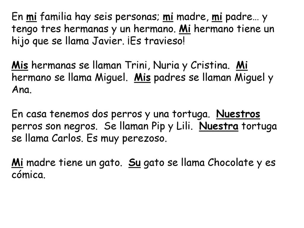 En mi familia hay seis personas; mi madre, mi padre… y tengo tres hermanas y un hermano. Mi hermano tiene un hijo que se llama Javier. ¡Es travieso!