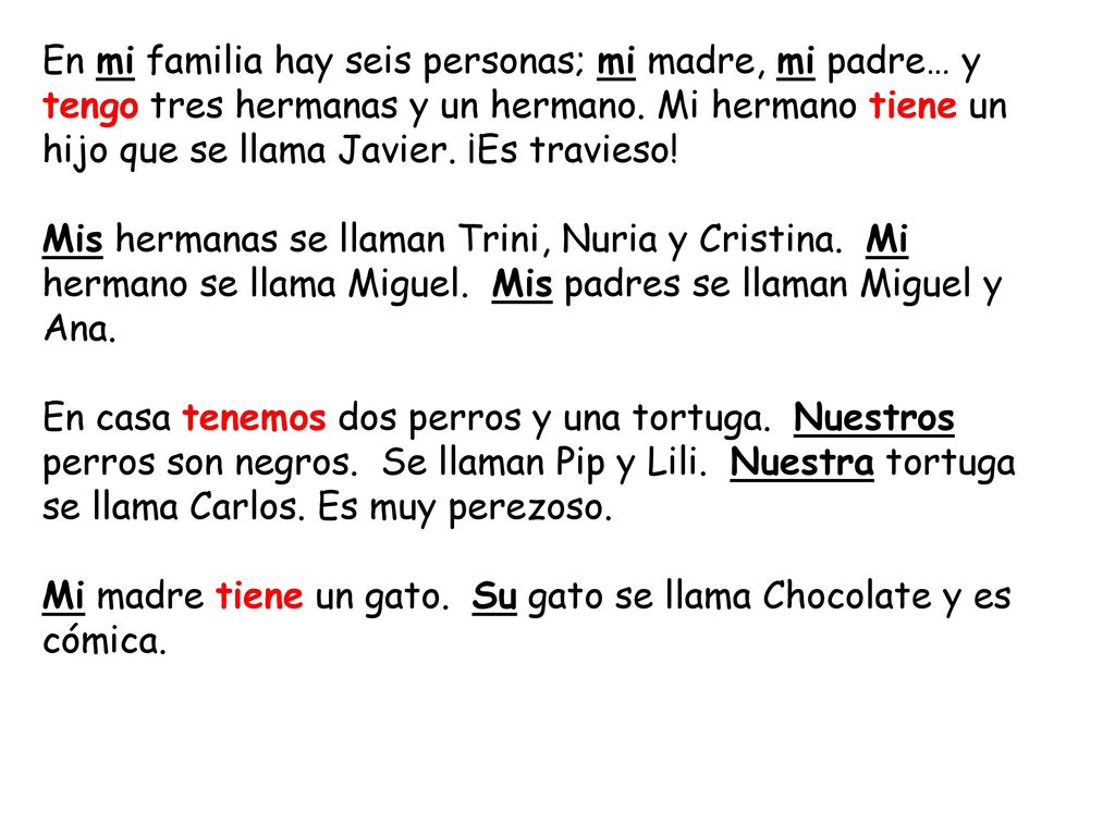 En mi familia hay seis personas; mi madre, mi padre… y tengo tres hermanas y un hermano. Mi hermano tiene un hijo que se llama Javier. ¡Es travieso!