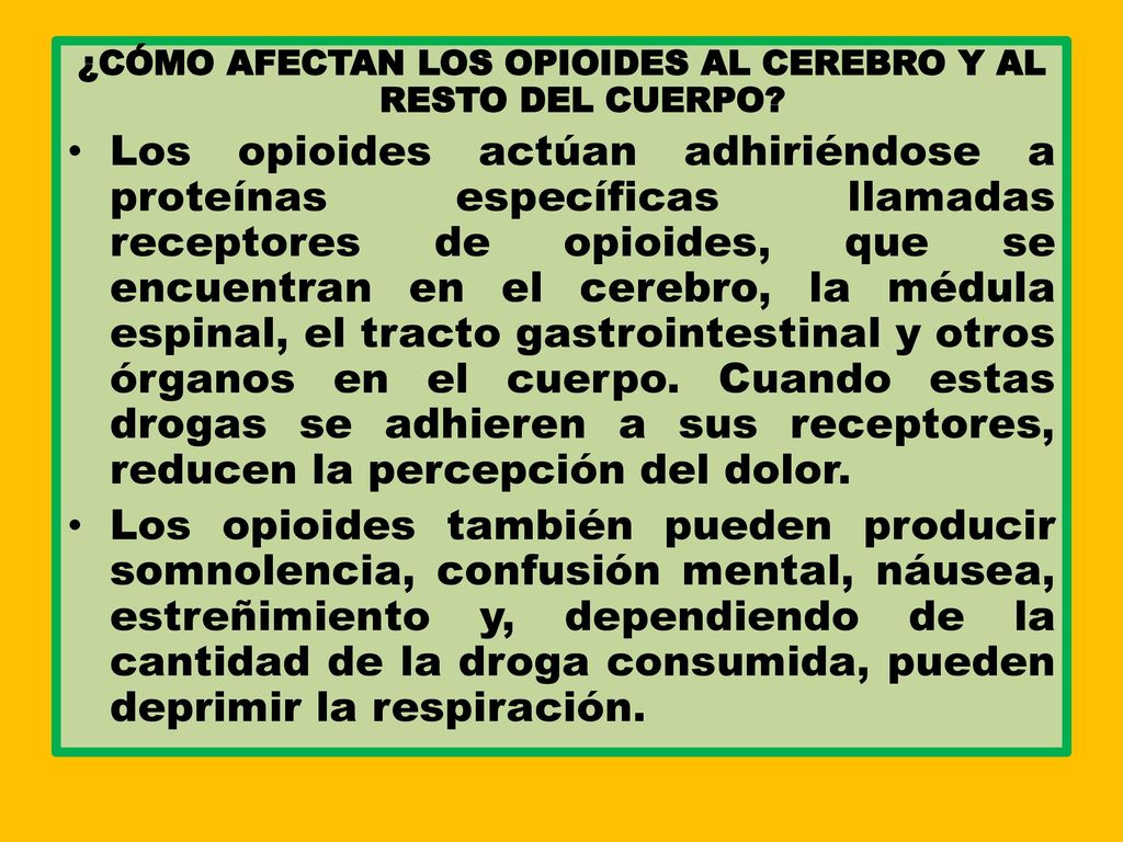 ¿CÓMO AFECTAN LOS OPIOIDES AL CEREBRO Y AL RESTO DEL CUERPO