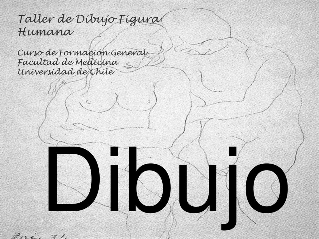 Dibujo Taller de Dibujo Figura Humana Curso de Formación General