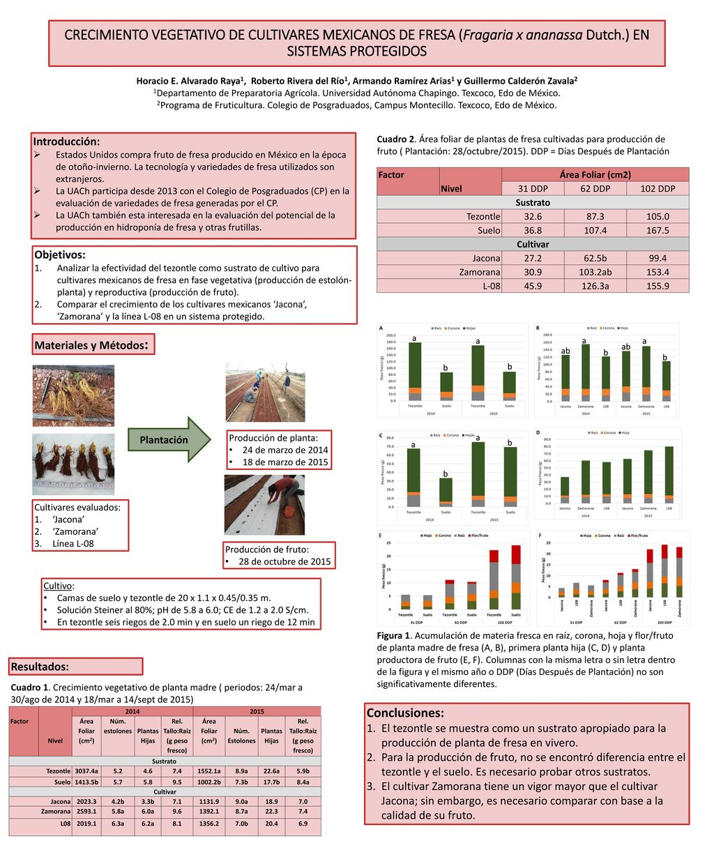 crecimiento vegetativo de cULTIVARES mexicanOs de fresa (Fragaria x ananassa Dutch.) en sistemas protegidos