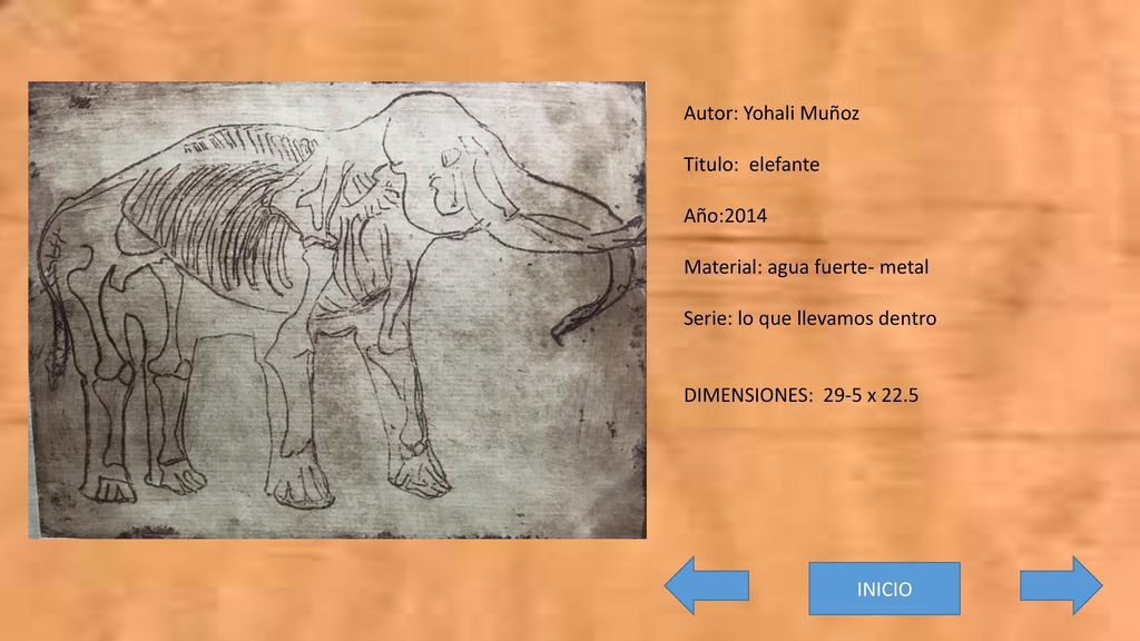 Autor: Yohali Muñoz Titulo: elefante. Año:2014. Material: agua fuerte- metal. Serie: lo que llevamos dentro.
