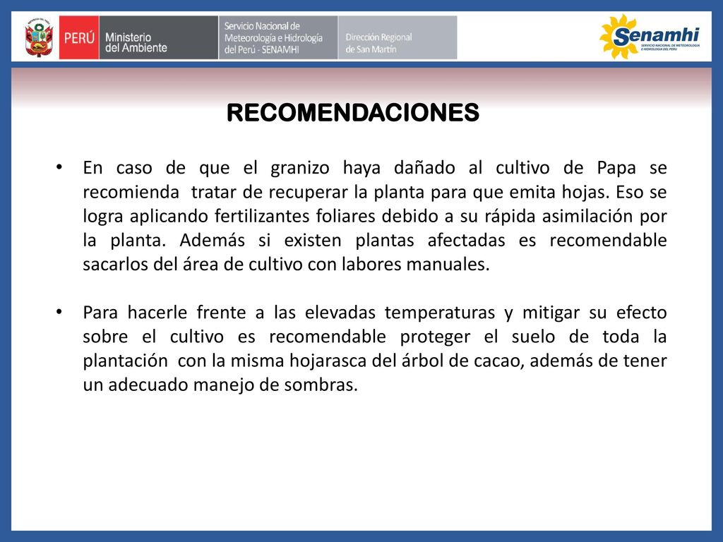 En caso de que el granizo haya dañado al cultivo de Papa se recomienda tratar de recuperar la planta para que emita hojas. Eso se logra aplicando fertilizantes foliares debido a su rápida asimilación por la planta. Además si existen plantas afectadas es recomendable sacarlos del área de cultivo con labores manuales.