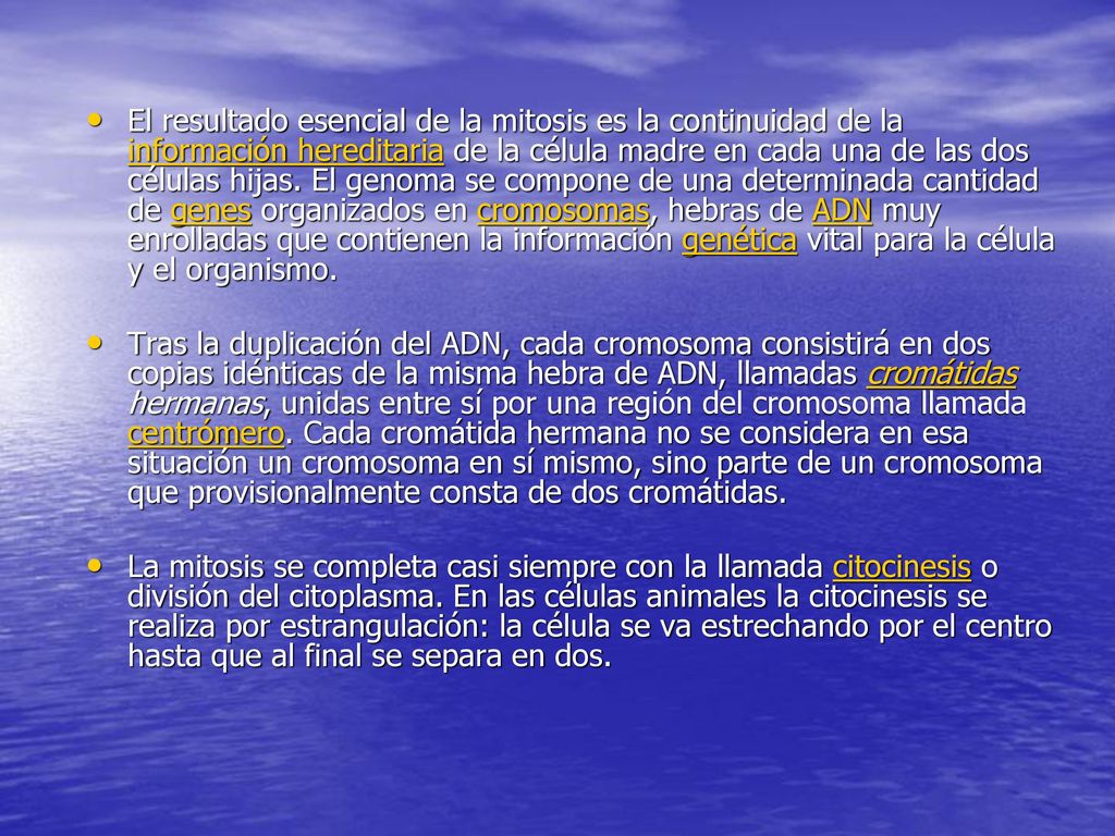 El resultado esencial de la mitosis es la continuidad de la información hereditaria de la célula madre en cada una de las dos células hijas. El genoma se compone de una determinada cantidad de genes organizados en cromosomas, hebras de ADN muy enrolladas que contienen la información genética vital para la célula y el organismo.