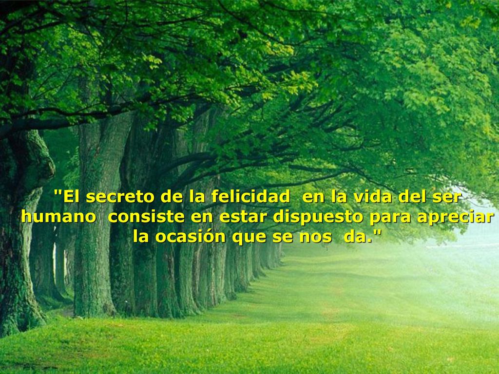 El secreto de la felicidad en la vida del ser humano consiste en estar dispuesto para apreciar la ocasión que se nos da.