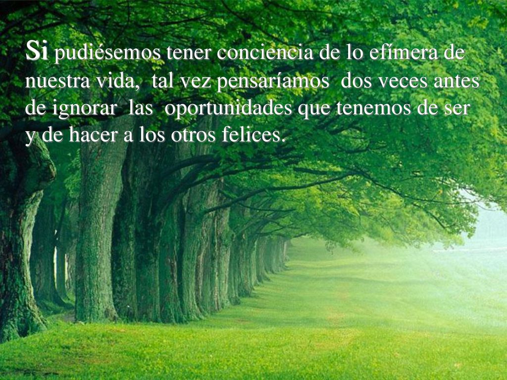 Si pudiésemos tener conciencia de lo efímera de nuestra vida, tal vez pensaríamos dos veces antes de ignorar las oportunidades que tenemos de ser y de hacer a los otros felices.