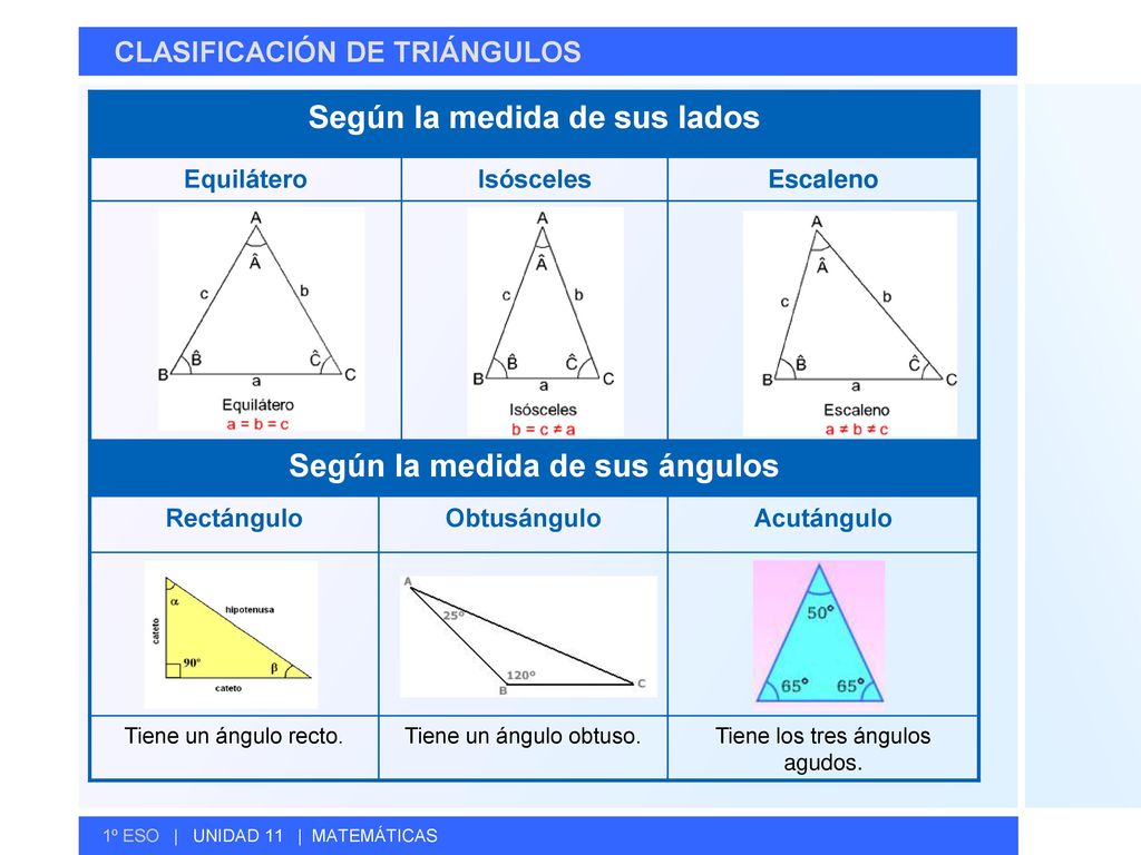 Según la medida de sus lados Según la medida de sus ángulos