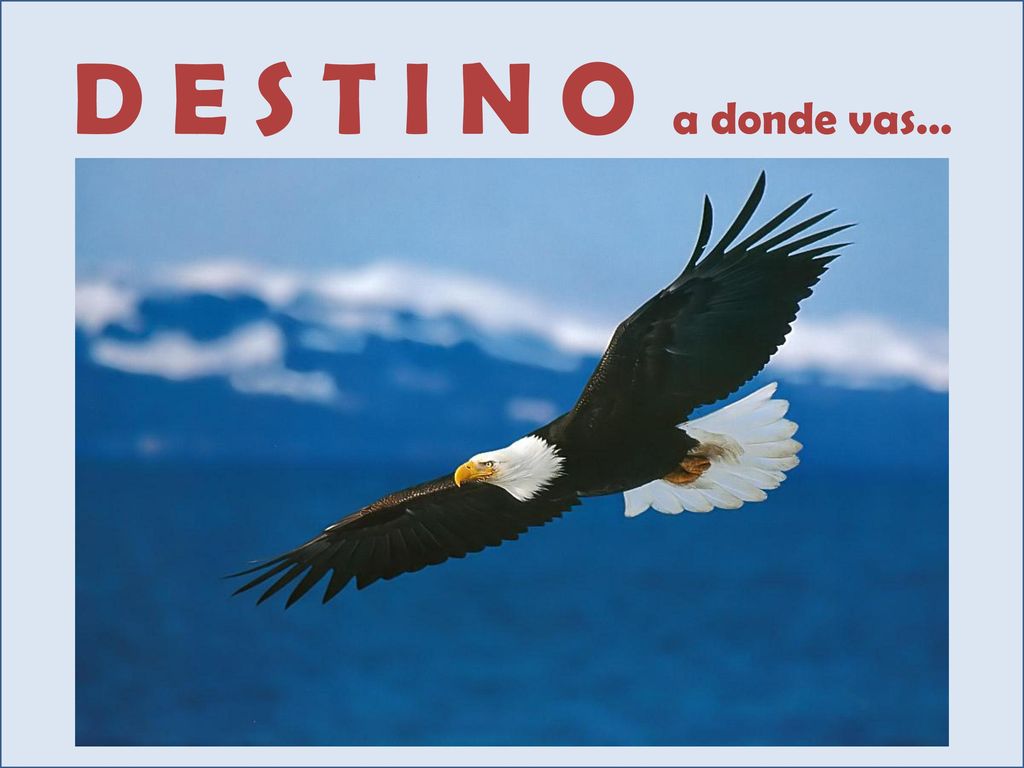 D E S T I N O a donde vas…