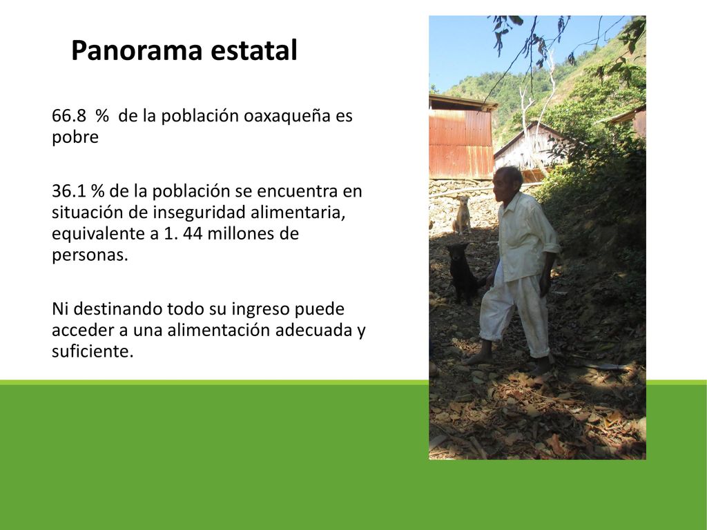 Panorama estatal 66.8 % de la población oaxaqueña es pobre