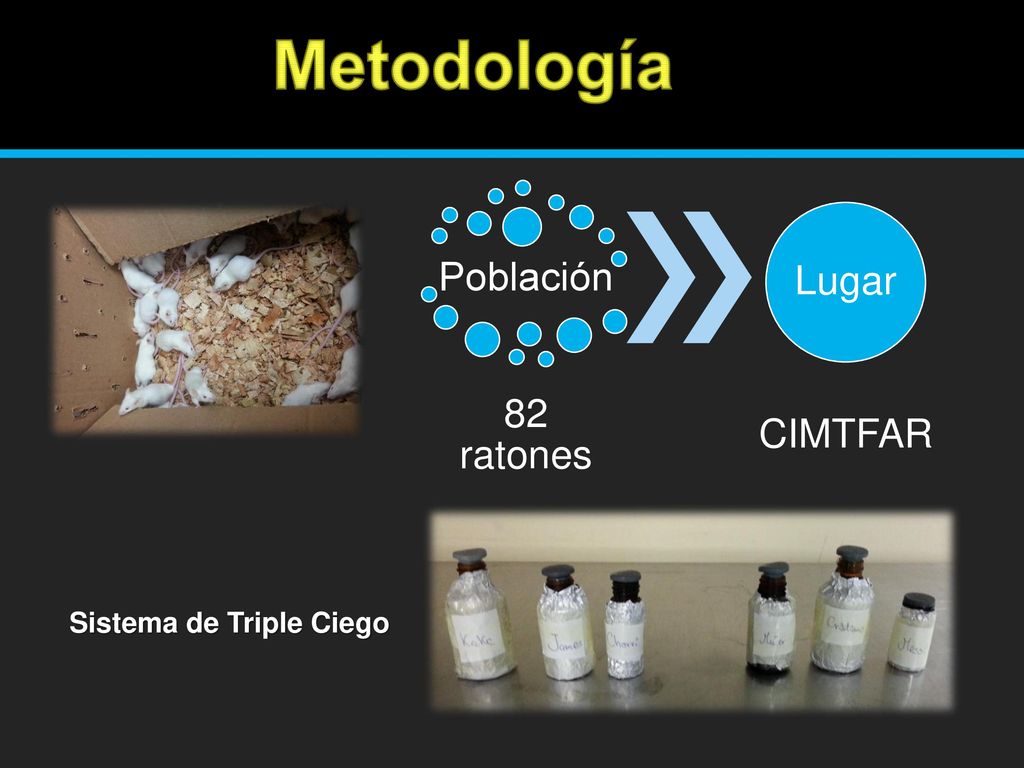 Metodología Población 82 ratones Lugar CIMTFAR Sistema de Triple Ciego