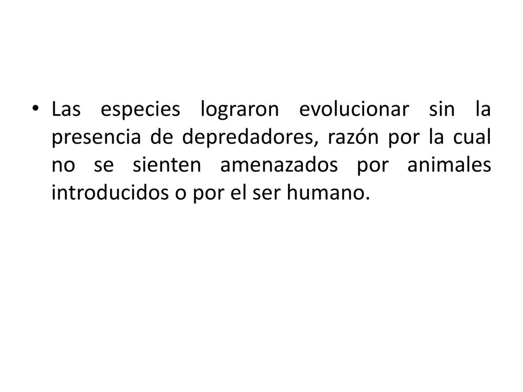 Las especies lograron evolucionar sin la presencia de depredadores, razón por la cual no se sienten amenazados por animales introducidos o por el ser humano.