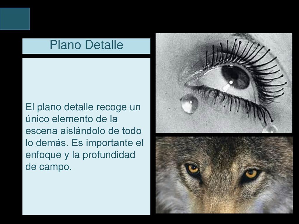 Plano Detalle El plano detalle recoge un único elemento de la escena aislándolo de todo lo demás.