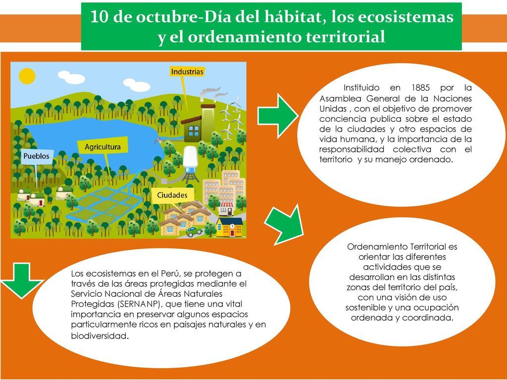 10 de octubre-Día del hábitat, los ecosistemas y el ordenamiento territorial