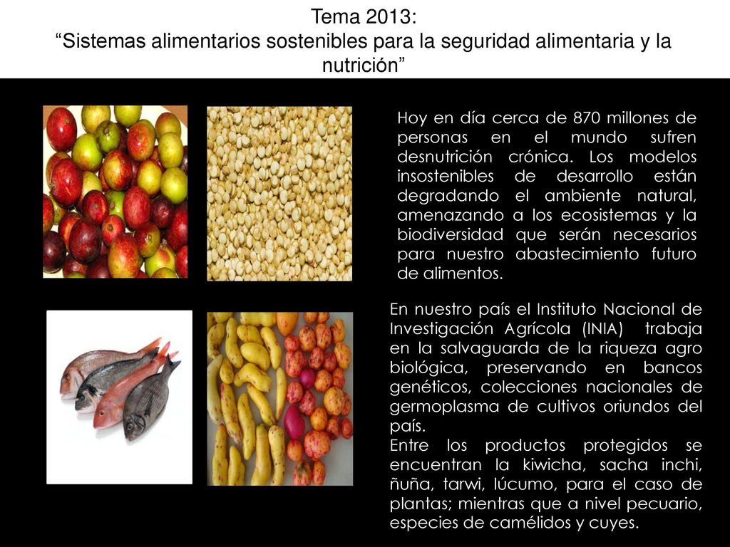 10 Tema 2013: Sistemas alimentarios sostenibles para la seguridad alimentaria y la nutrición