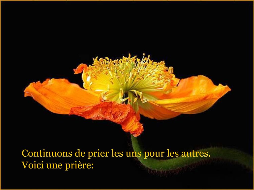 Continuons de prier les uns pour les autres. Voici une prière: