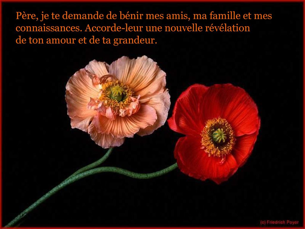 Père, je te demande de bénir mes amis, ma famille et mes