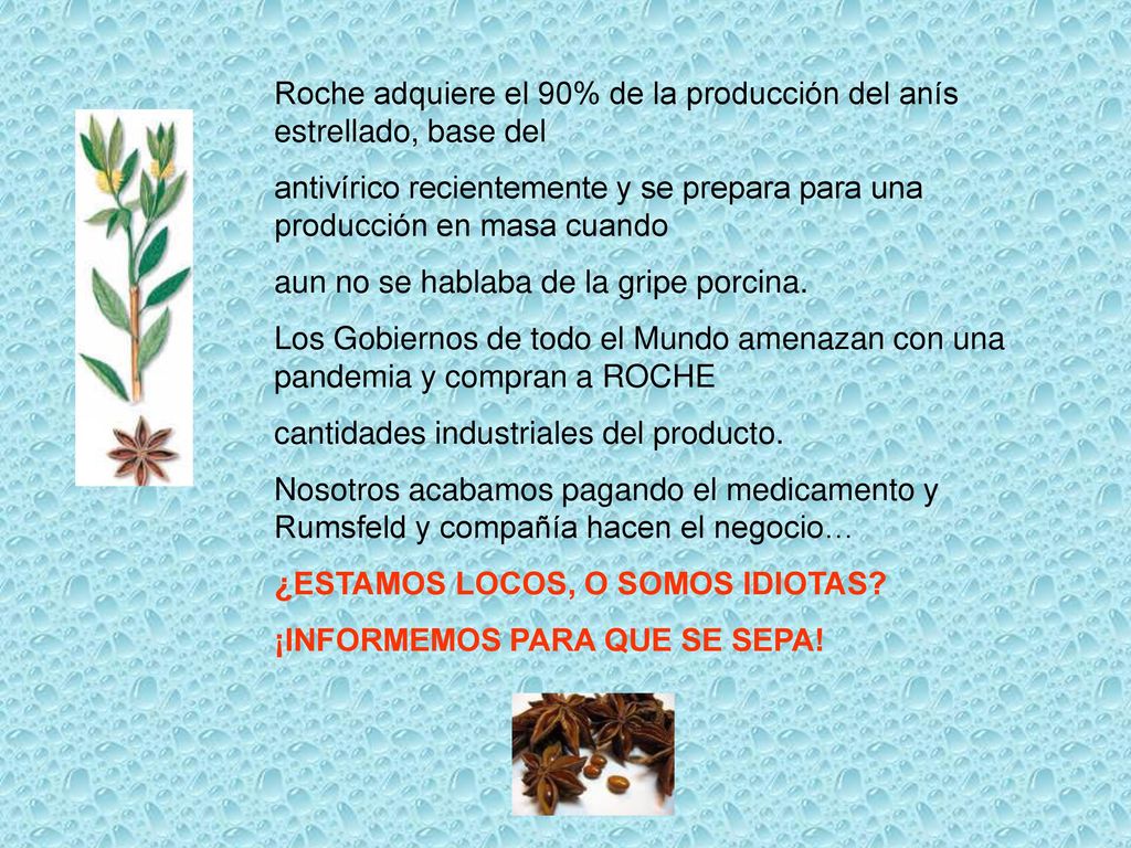 Roche adquiere el 90% de la producción del anís estrellado, base del