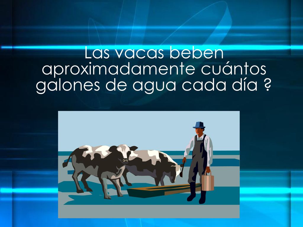 Las vacas beben aproximadamente cuántos galones de agua cada día