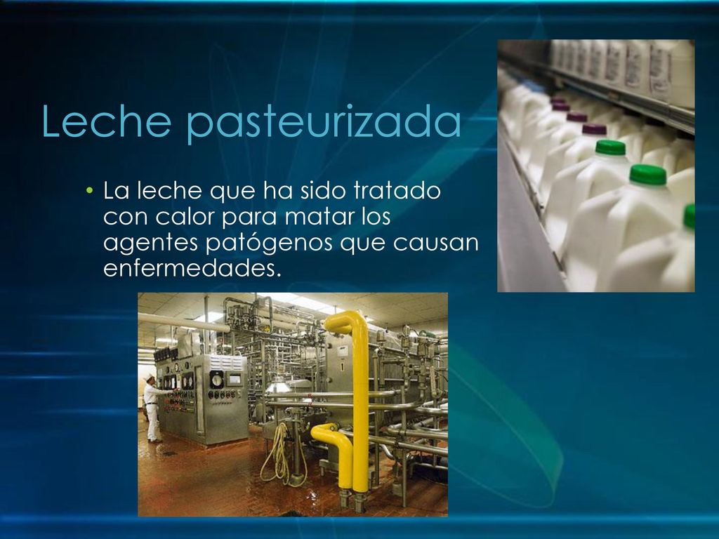 Leche pasteurizada La leche que ha sido tratado con calor para matar los agentes patógenos que causan enfermedades.