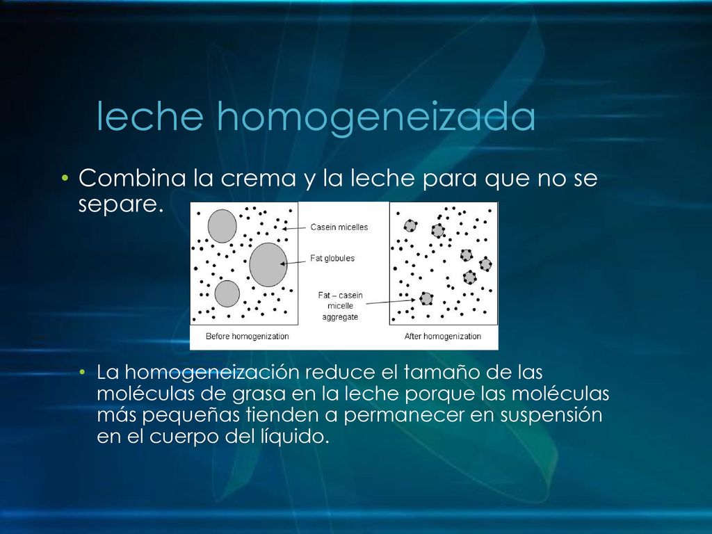 leche homogeneizada Combina la crema y la leche para que no se separe.