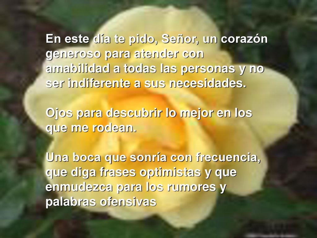 En este día te pido, Señor, un corazón generoso para atender con amabilidad a todas las personas y no ser indiferente a sus necesidades.