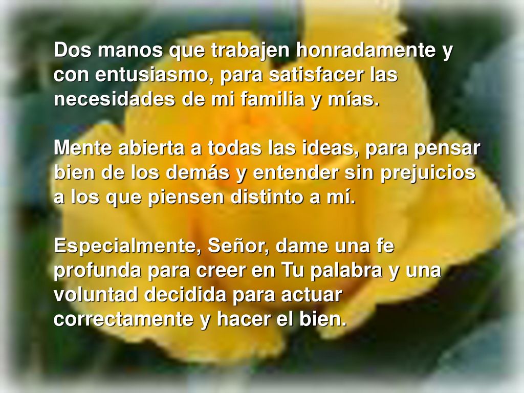 Dos manos que trabajen honradamente y con entusiasmo, para satisfacer las necesidades de mi familia y mías.